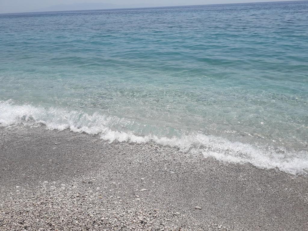 20190709_133936 (Copy).jpg