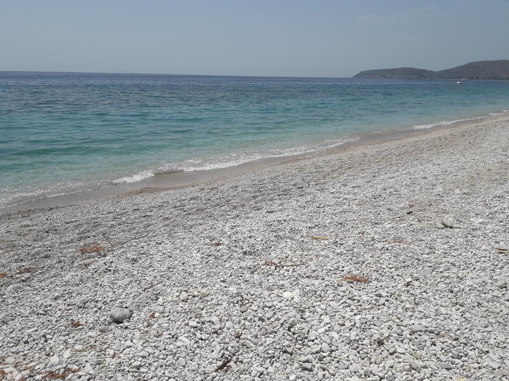 20190709_134239 (Copy).jpg