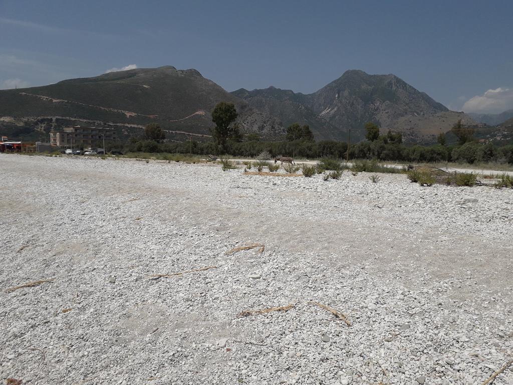 20190709_134313 (Copy).jpg