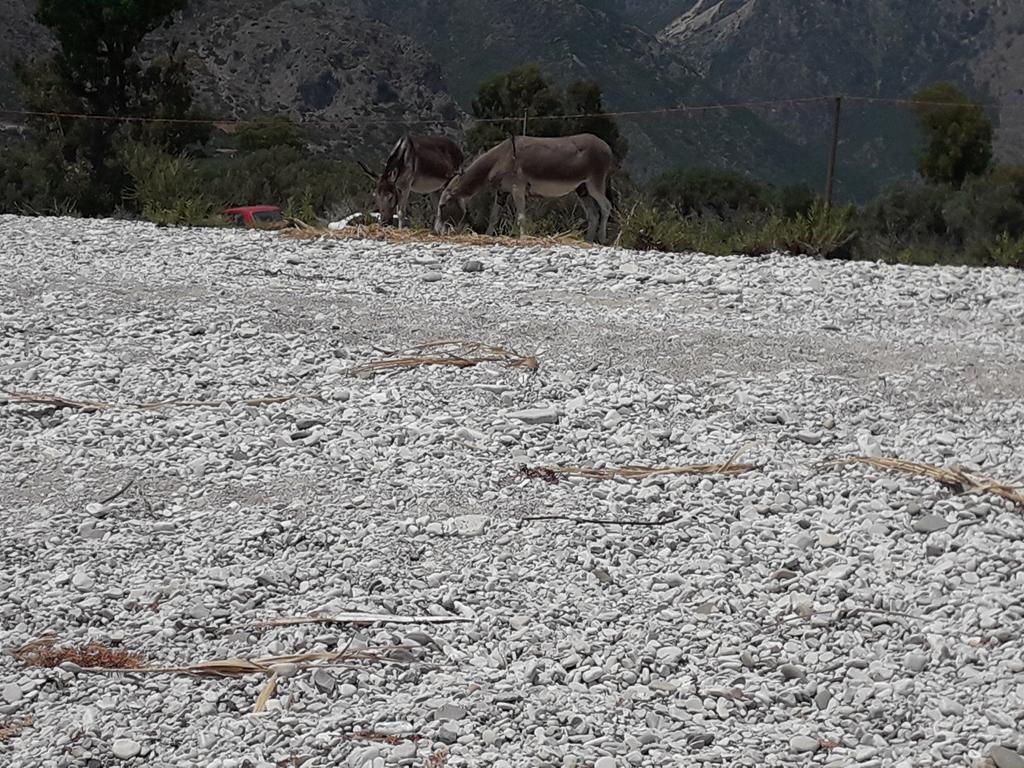 20190709_135643 (Copy).jpg