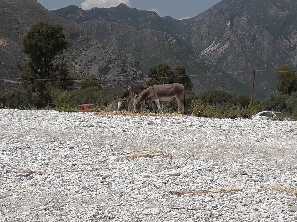 20190709_135648 (Copy).jpg