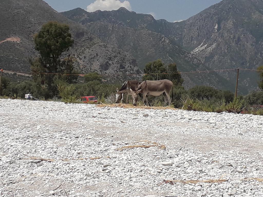 20190709_135654 (Copy).jpg