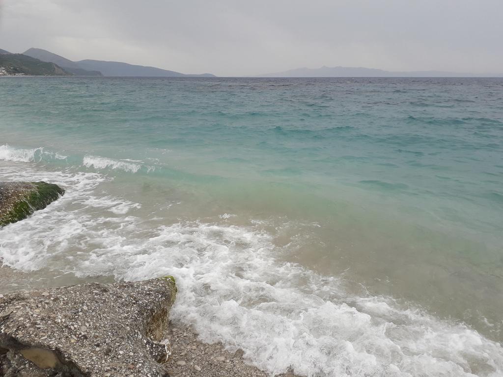 20190710_135846 (Copy).jpg