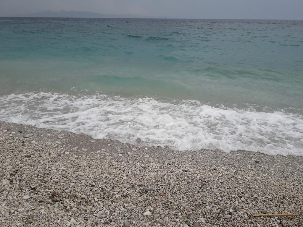 20190710_140132 (Copy).jpg