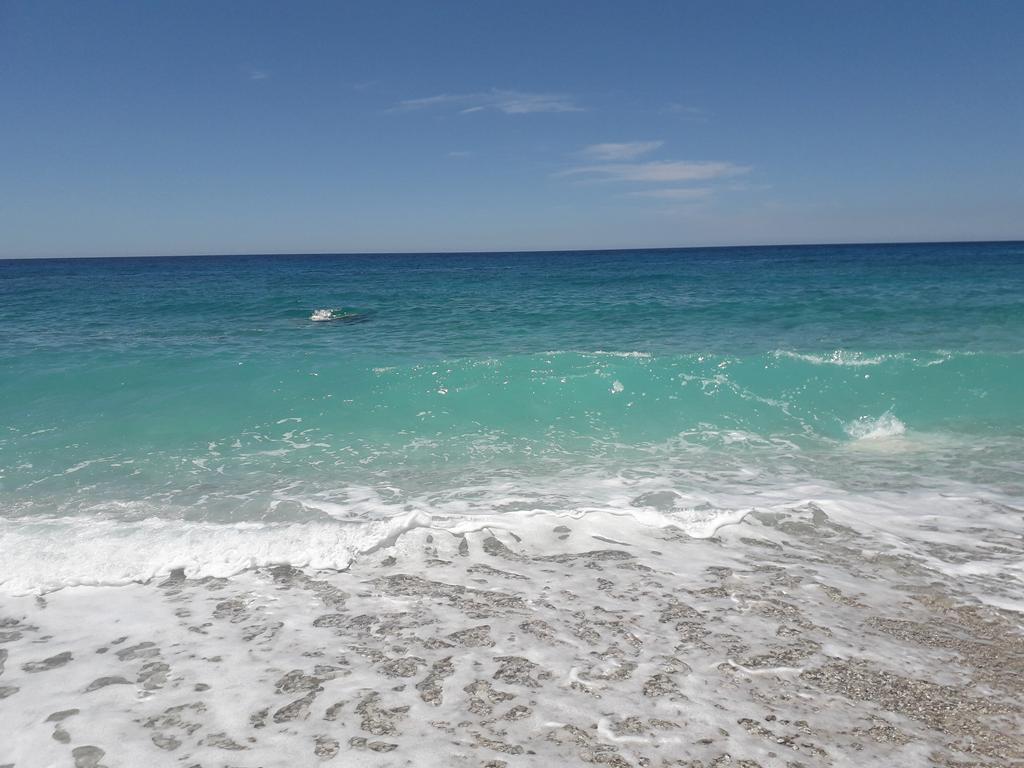 20190711_122339 (Copy).jpg