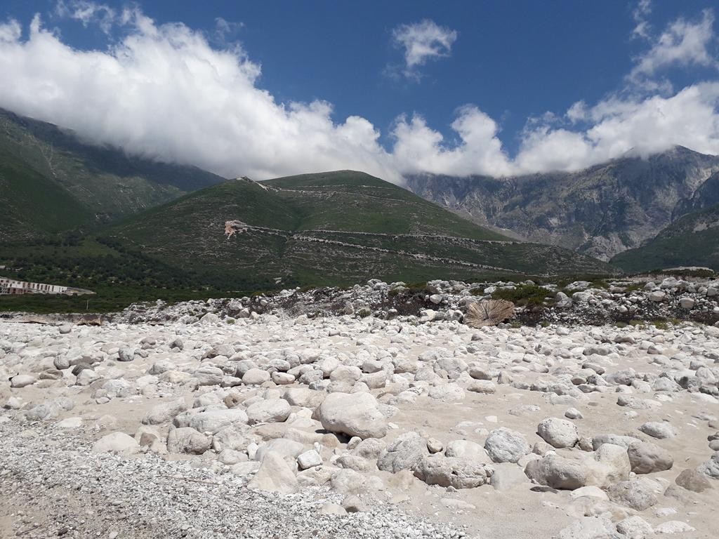 20190711_122354 (Copy).jpg