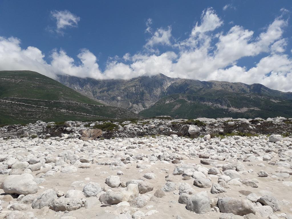 20190711_122357 (Copy).jpg