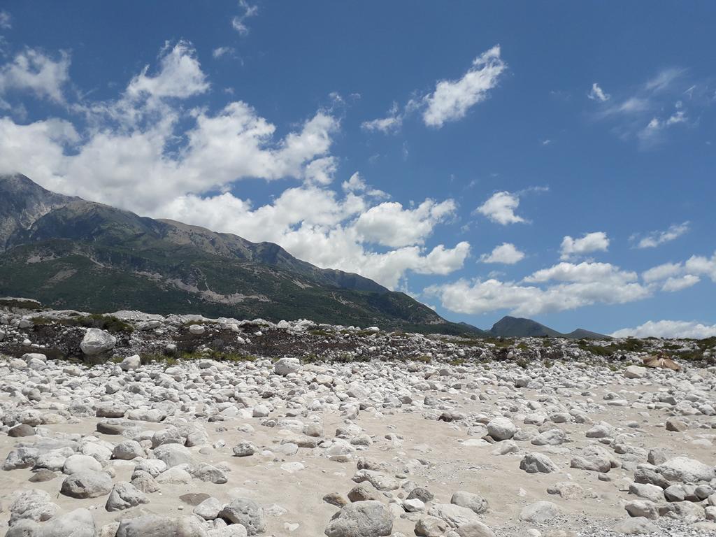 20190711_122401 (Copy).jpg