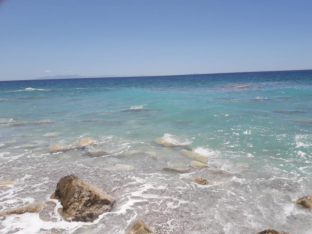 20190711_123246 (Copy).jpg