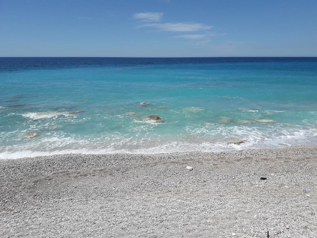 20190711_123535 (Copy).jpg