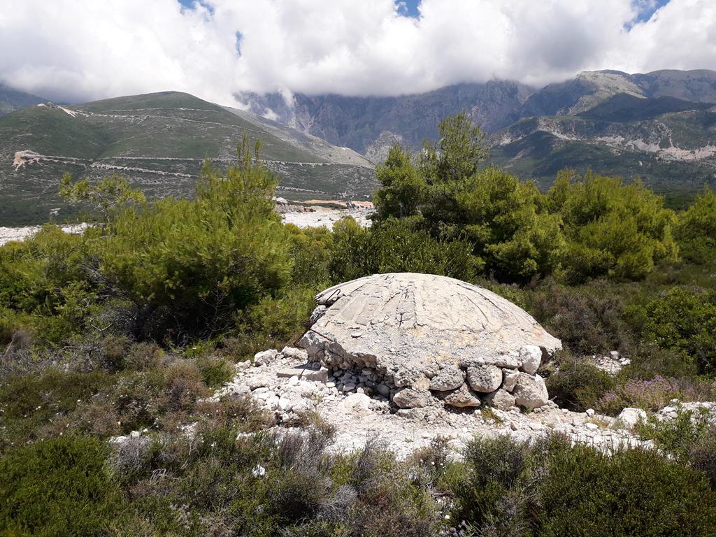 20190711_123635 (Copy).jpg