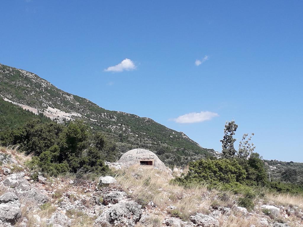 20190711_155027 (Copy).jpg