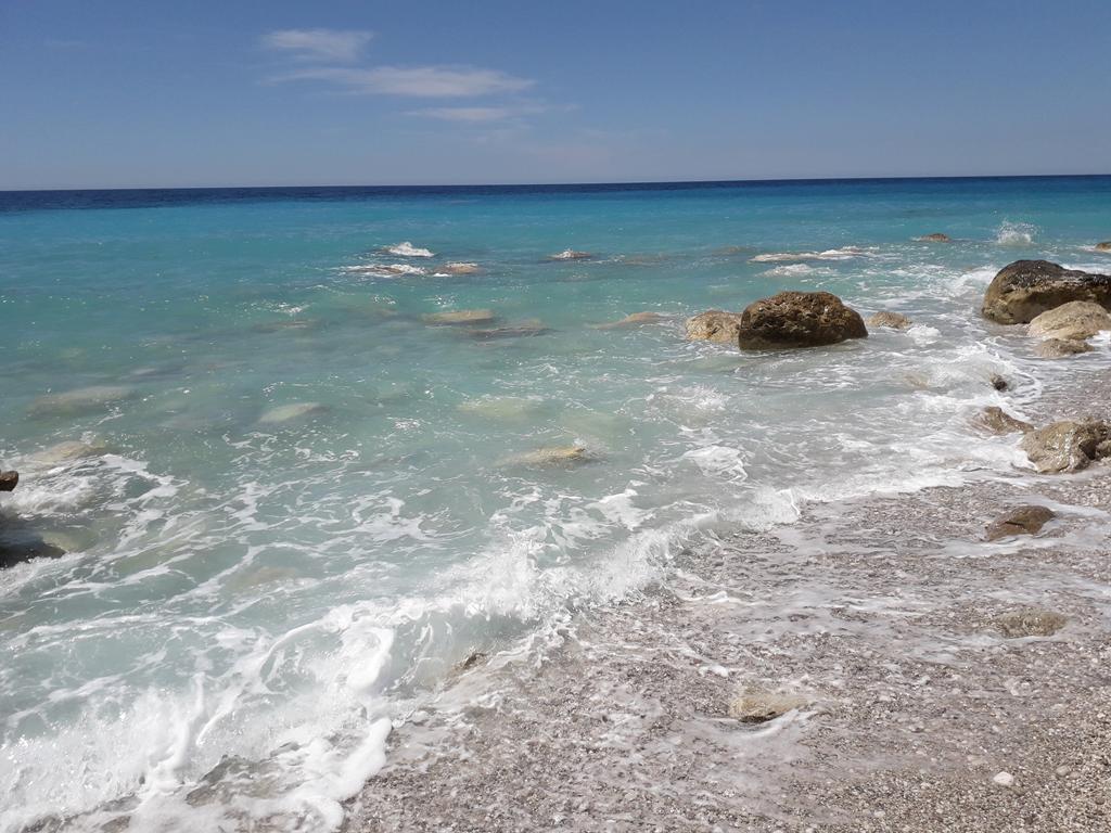 20190711_123403 (Copy).jpg