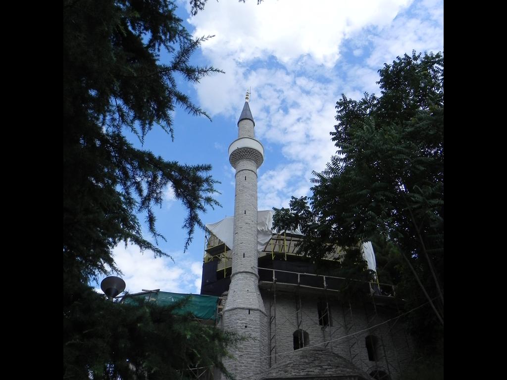 AlGr2019 214 (Copy).jpg