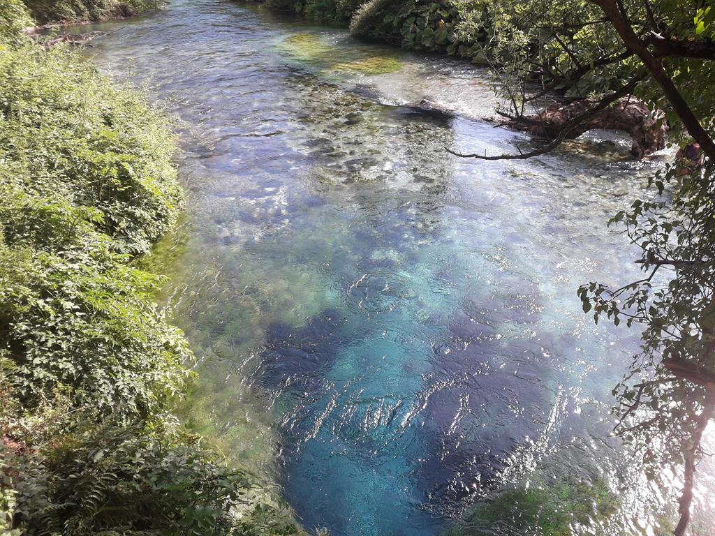 20190713_163533 (Copy).jpg