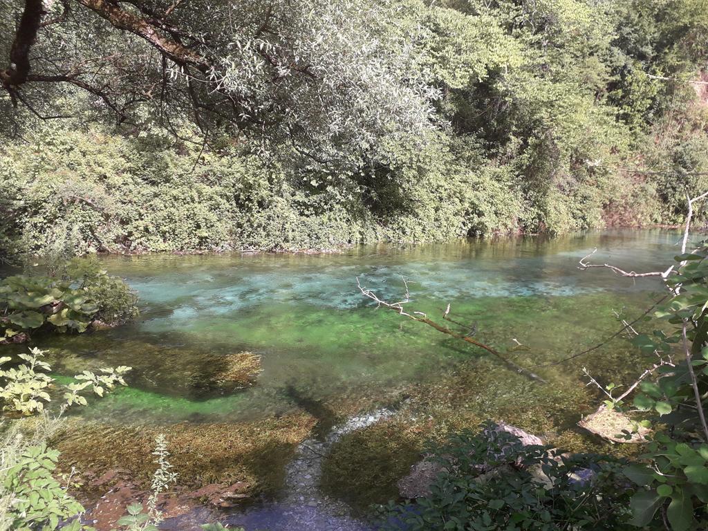 20190713_164832 (Copy).jpg