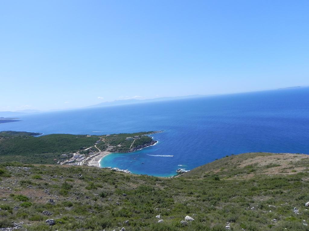 AlGr2019 034 (Copy).jpg