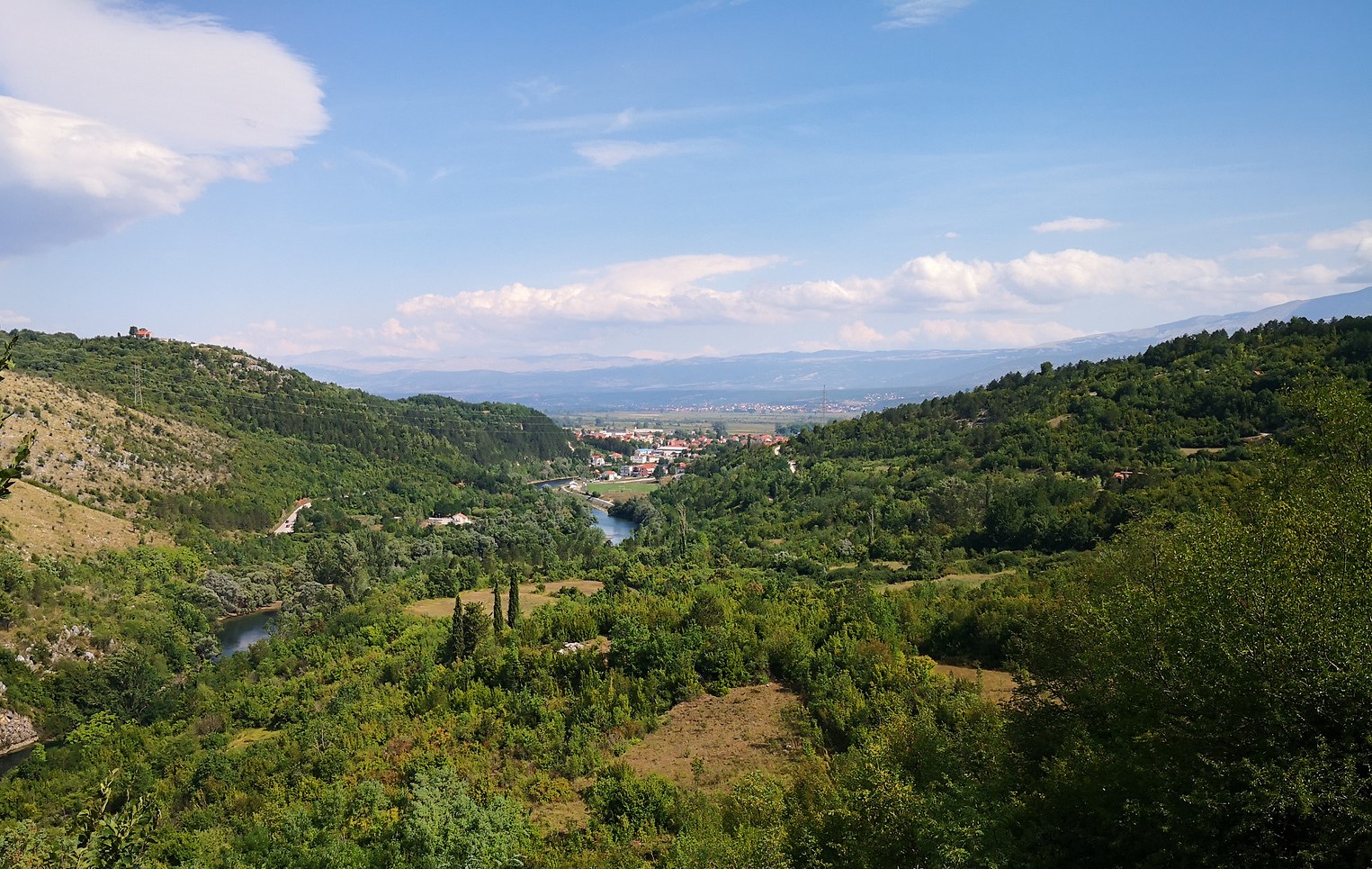 IMG_20200808_102937 — kopia.jpg