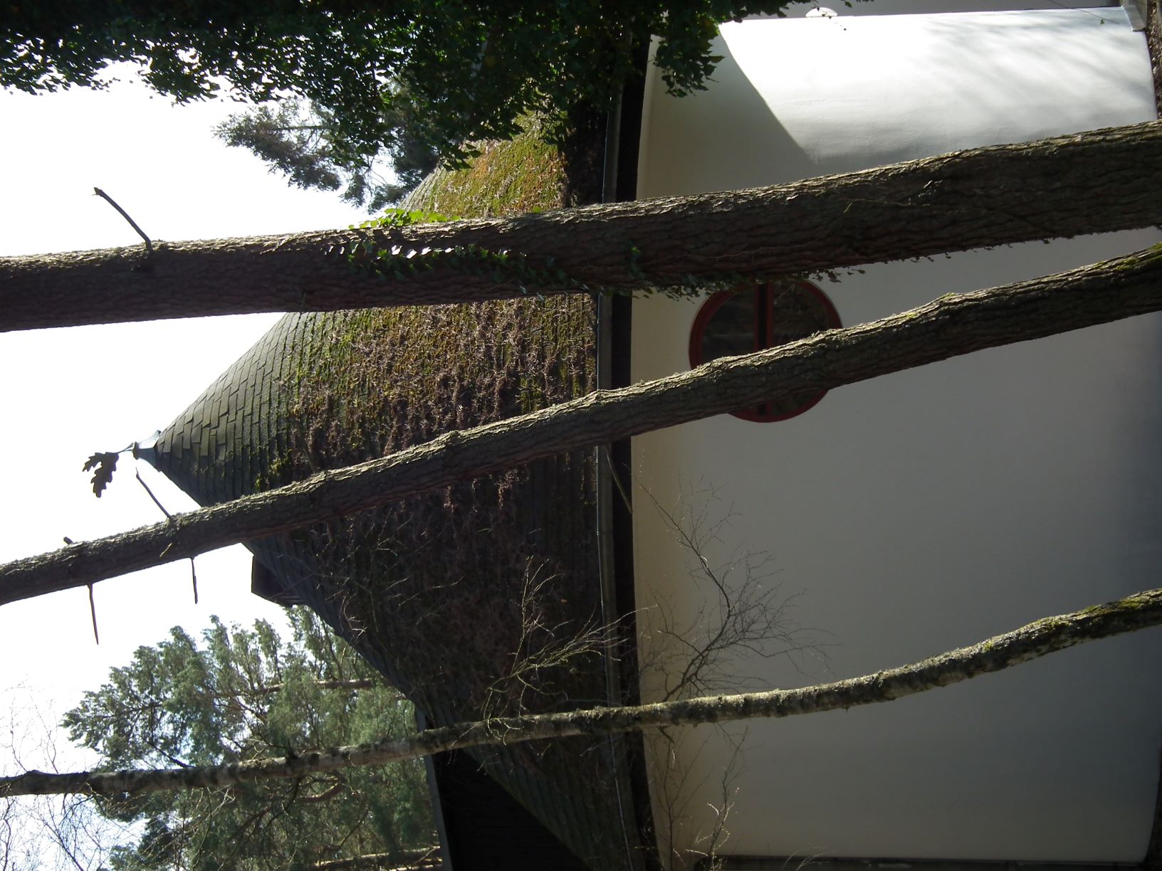 obraz.JPG