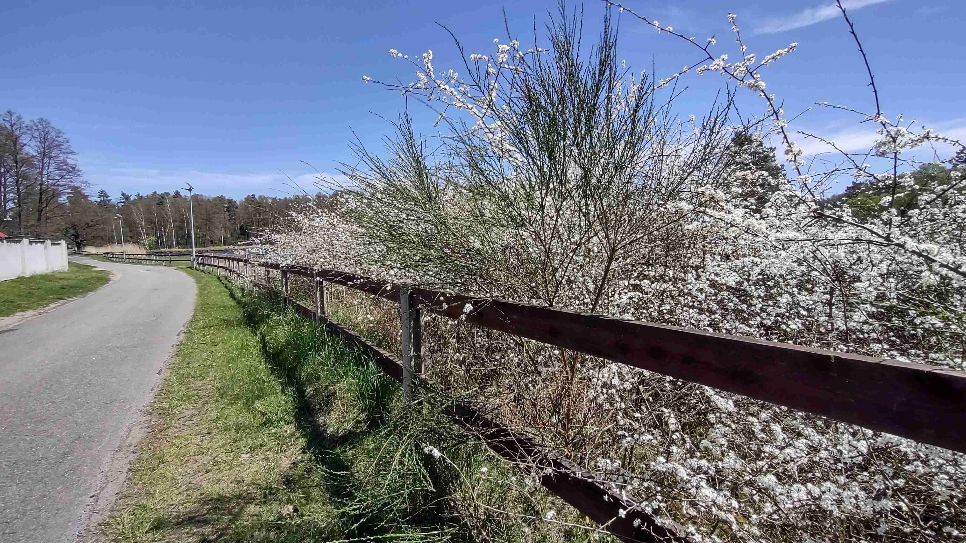 IMG_20210510_120414618_HDR-2 — kopia.jpg