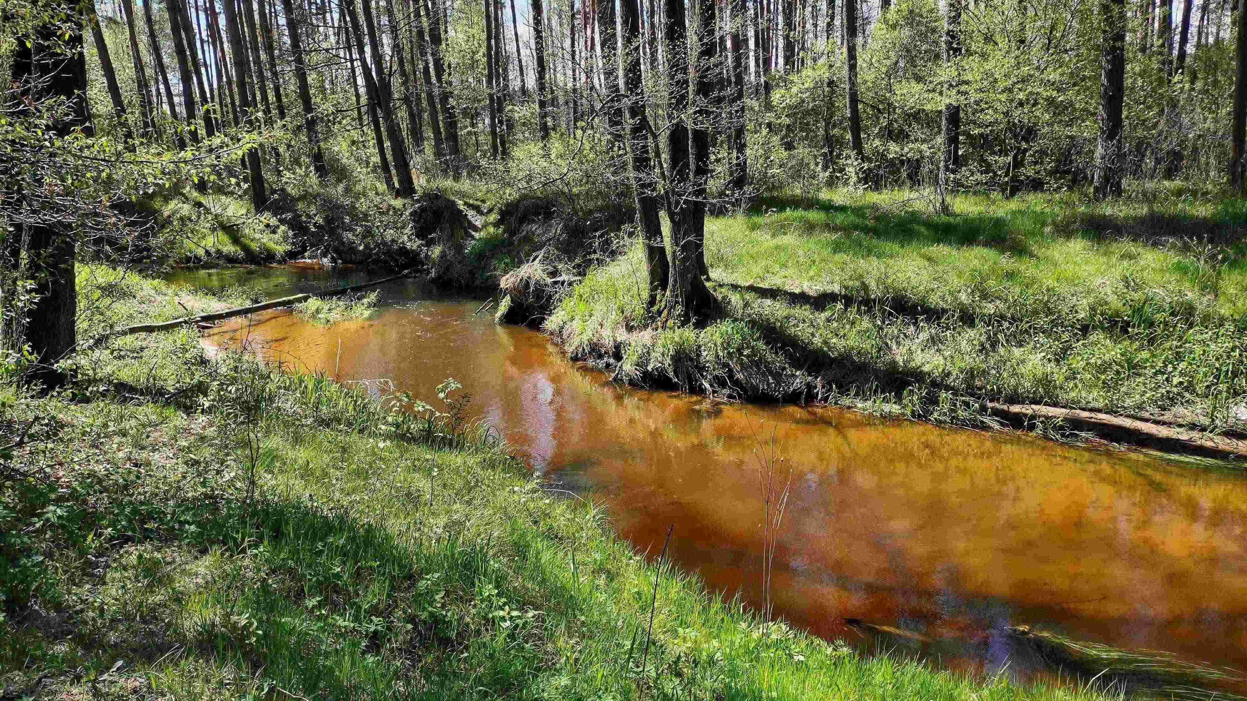 IMG_20210510_115116656_HDR-3 — kopia.jpg