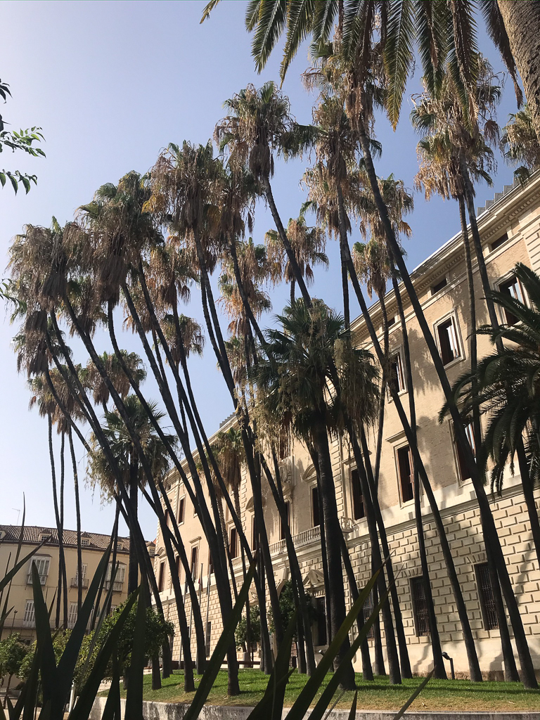 Malaga (3).jpg