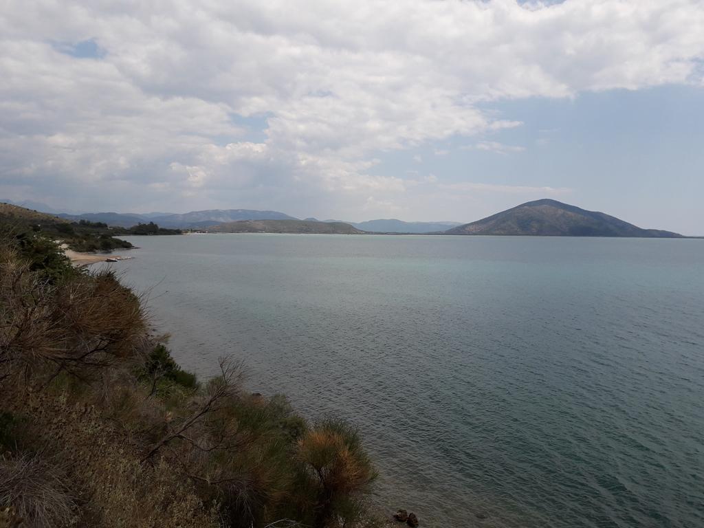 20190717_145634 (Copy).jpg