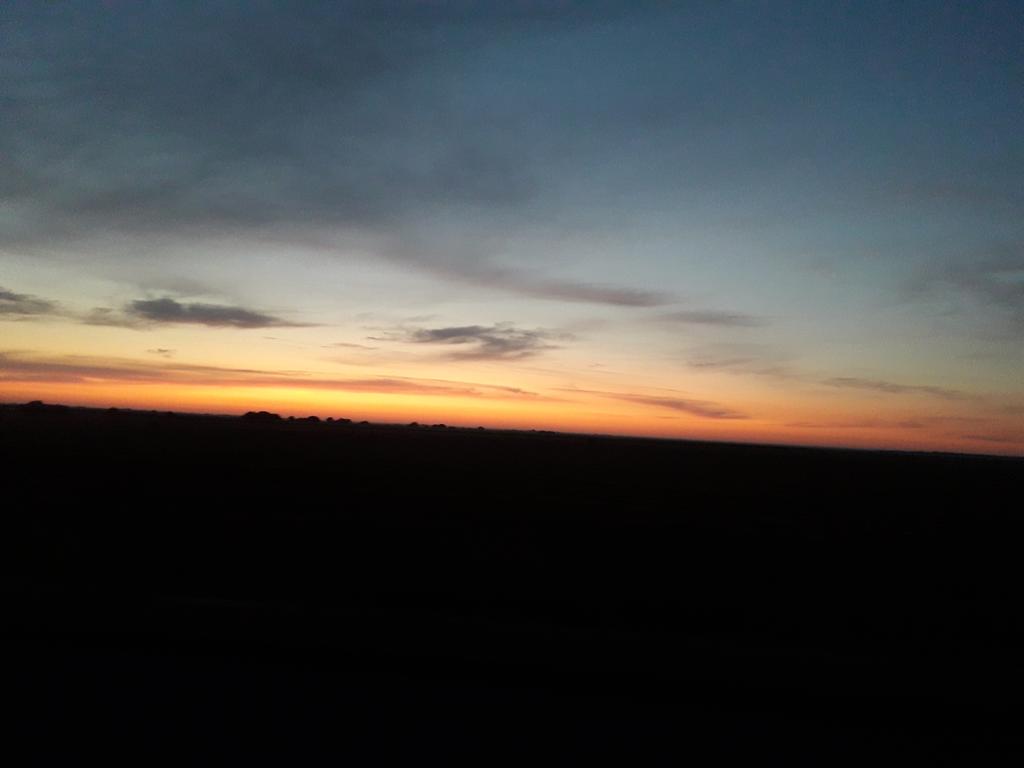 20190718_044230 (Copy).jpg