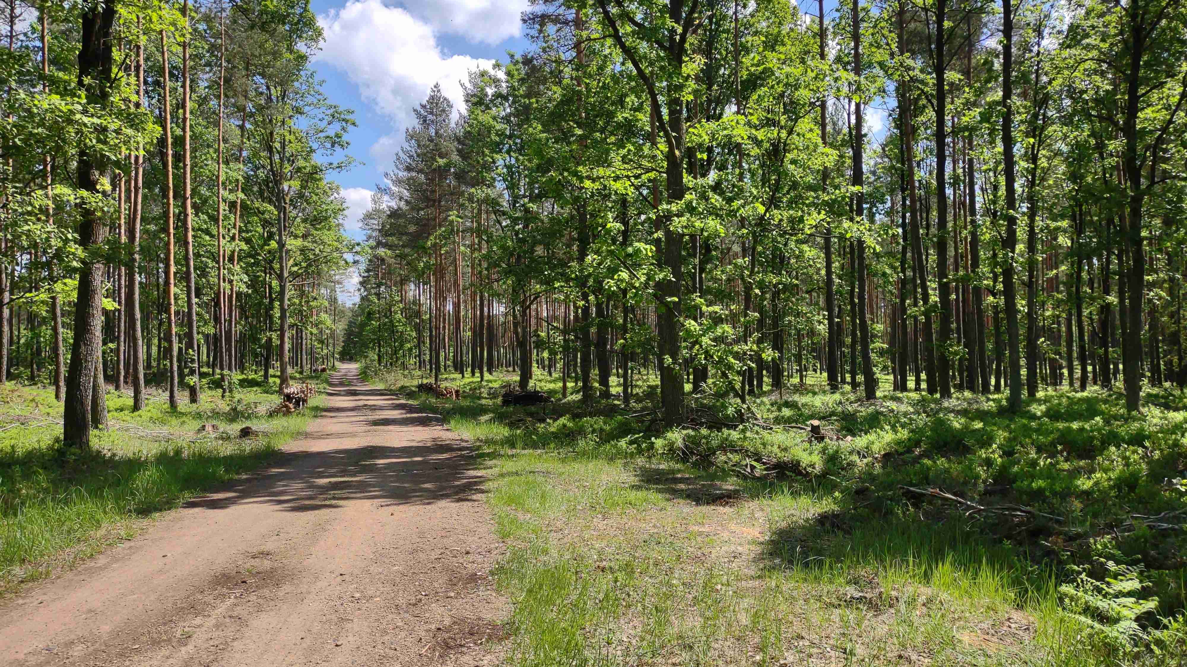 IMG_20210606_133348286 — kopia2.jpg