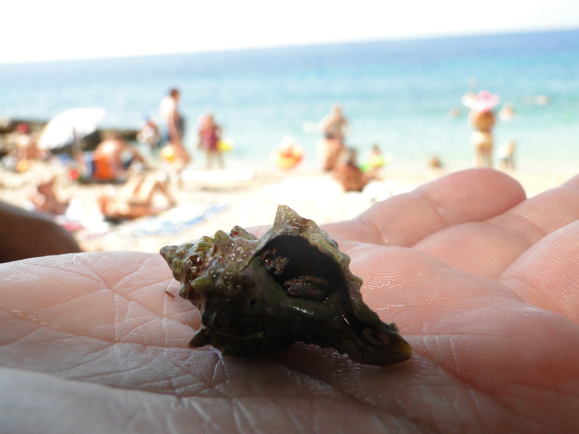 Chorwacja 2013 676.jpg