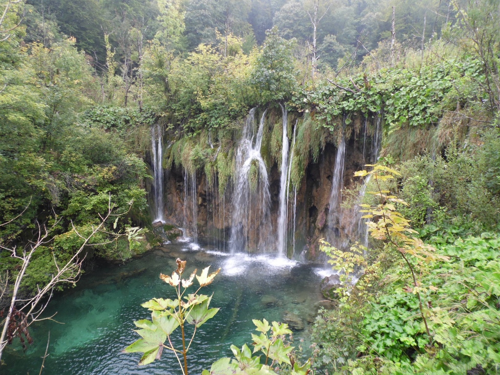 SAM_7177 (1024x768).jpg SAM_7177 (1024x768).jpg