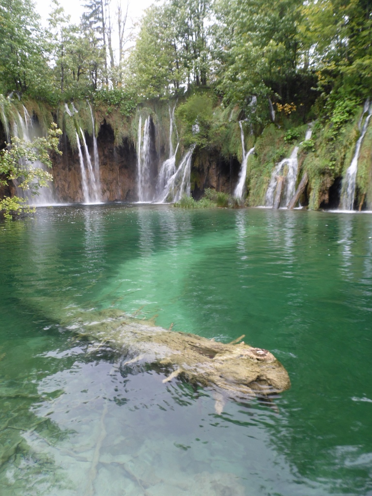 SAM_7193 (768x1024).jpg SAM_7193 (768x1024).jpg