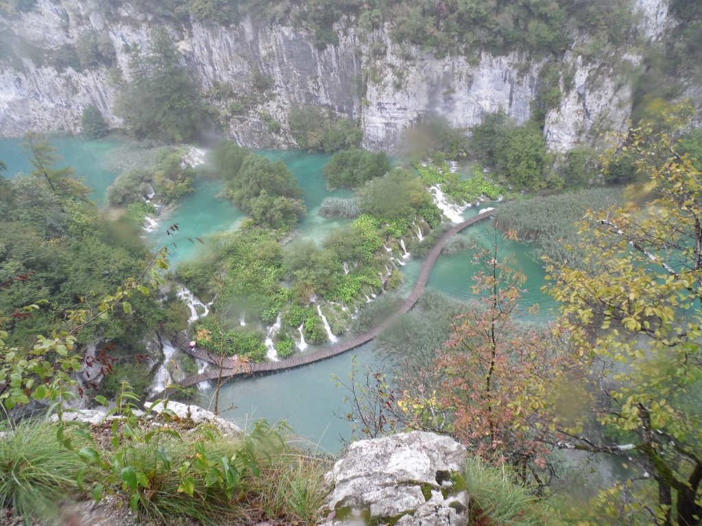 SAM_7243 (1024x768).jpg SAM_7243 (1024x768).jpg