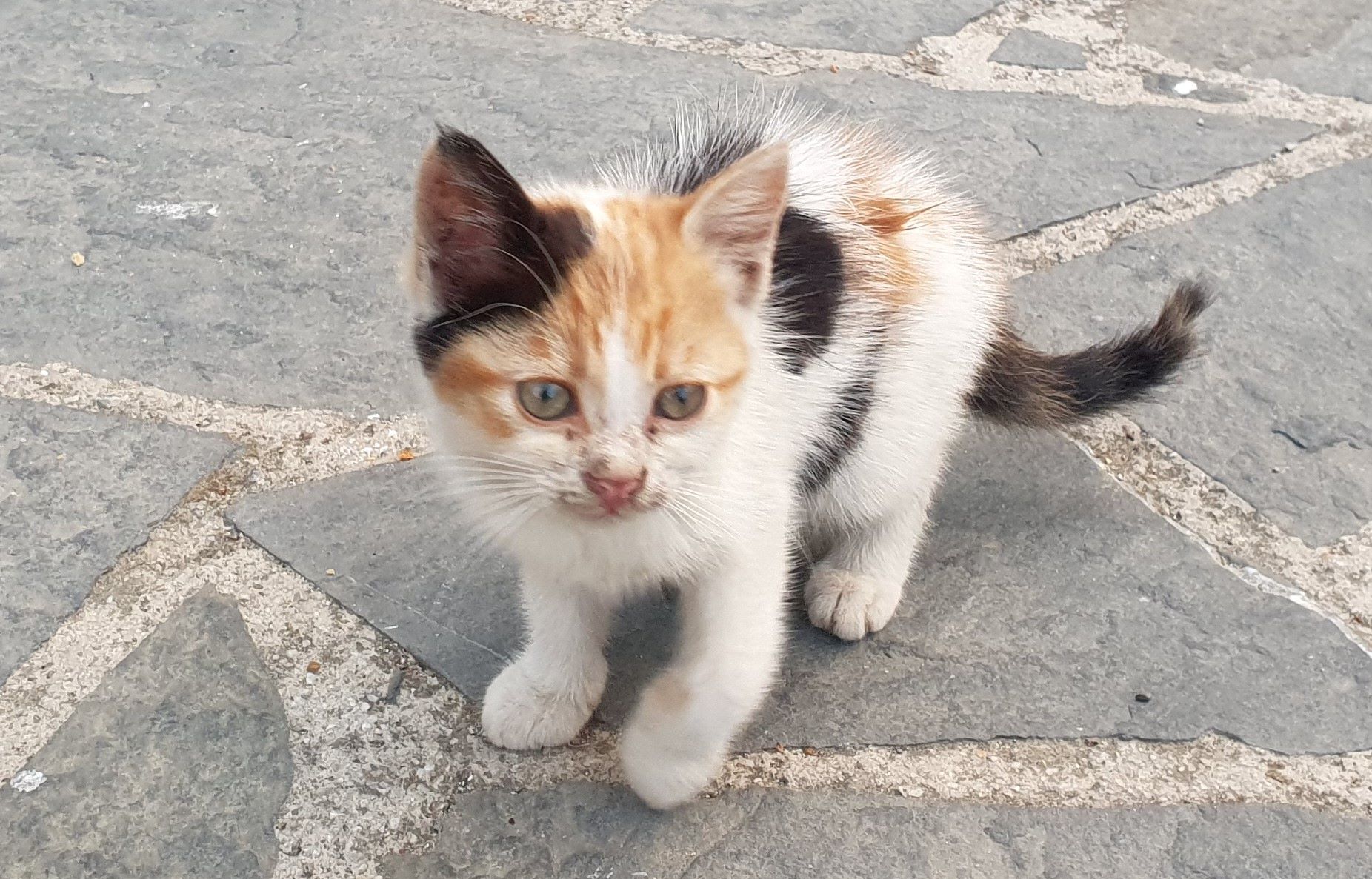 20210620_200103 (2).jpg