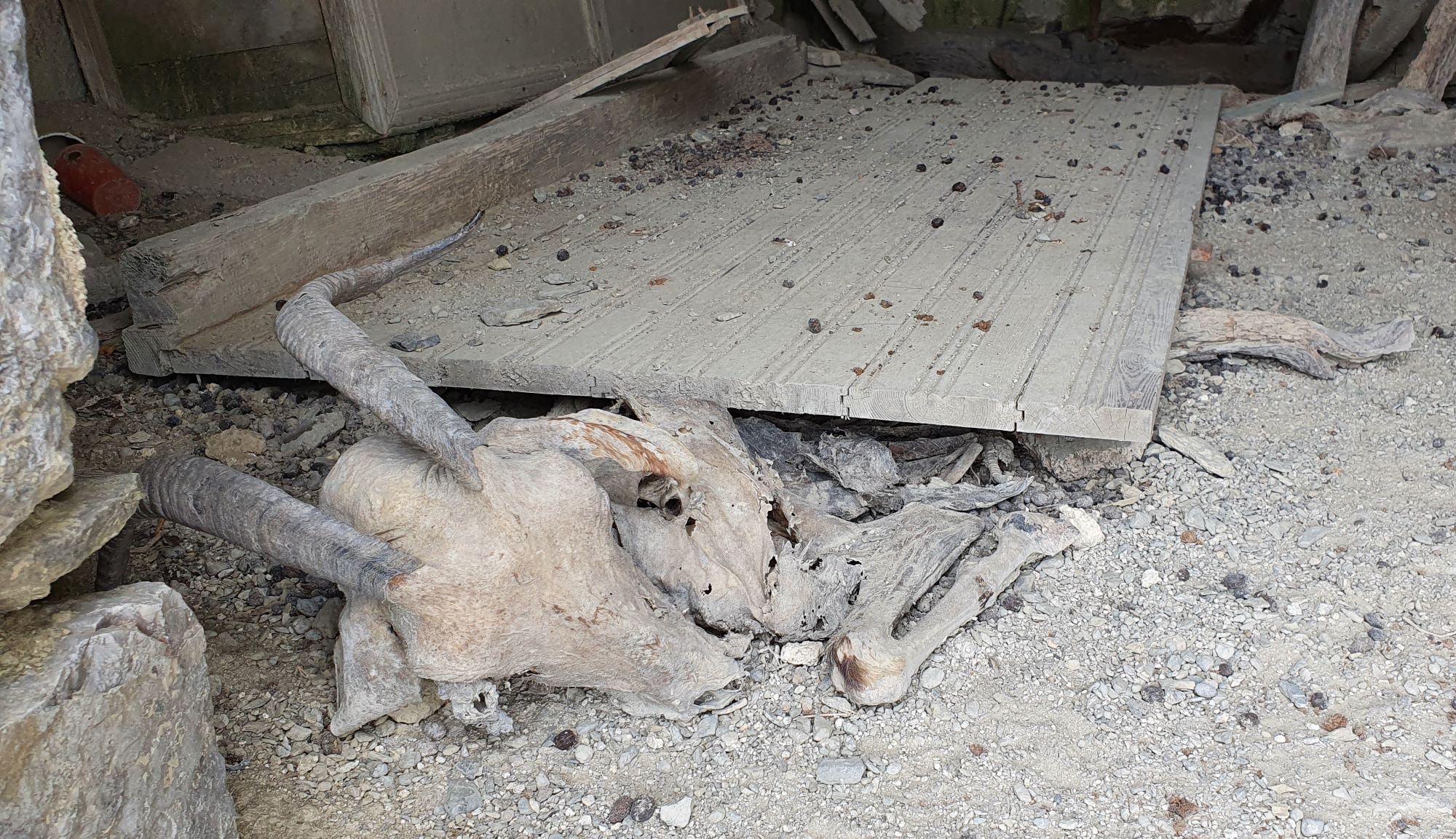 20210621_121448 (2).jpg