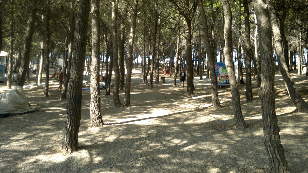 Zlatni-Rat-2012-06.jpg