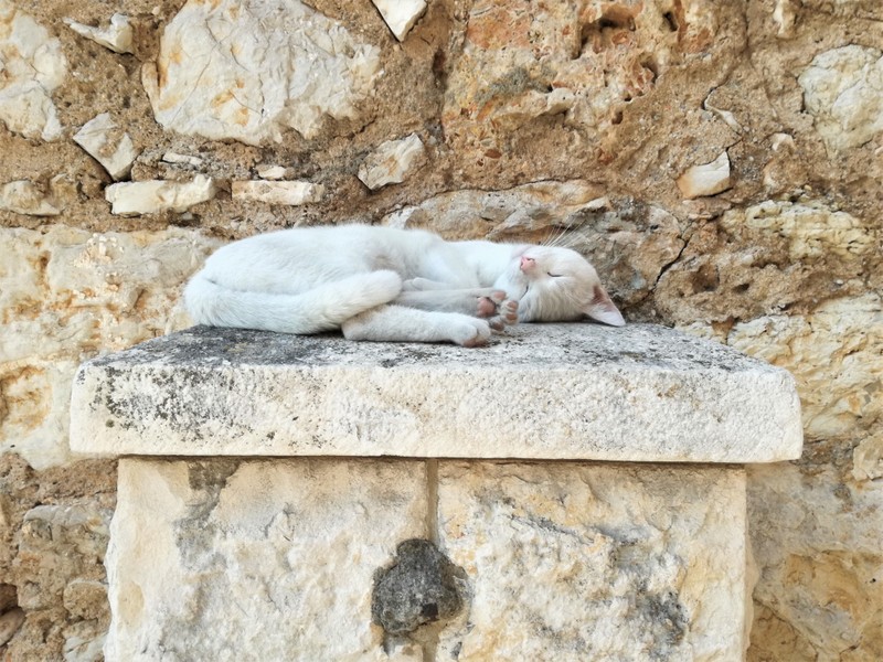 IMG_20200919_102729 (1).jpg