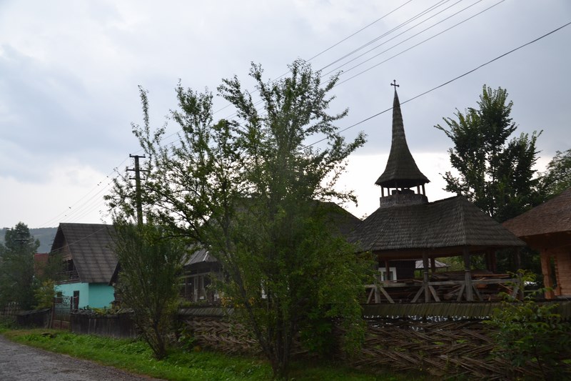 DSC_0305 (Kopiowanie).JPG