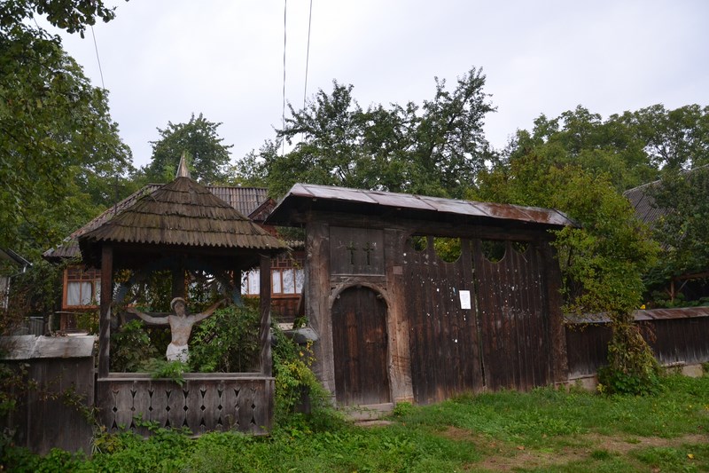 DSC_0308 (Kopiowanie).JPG