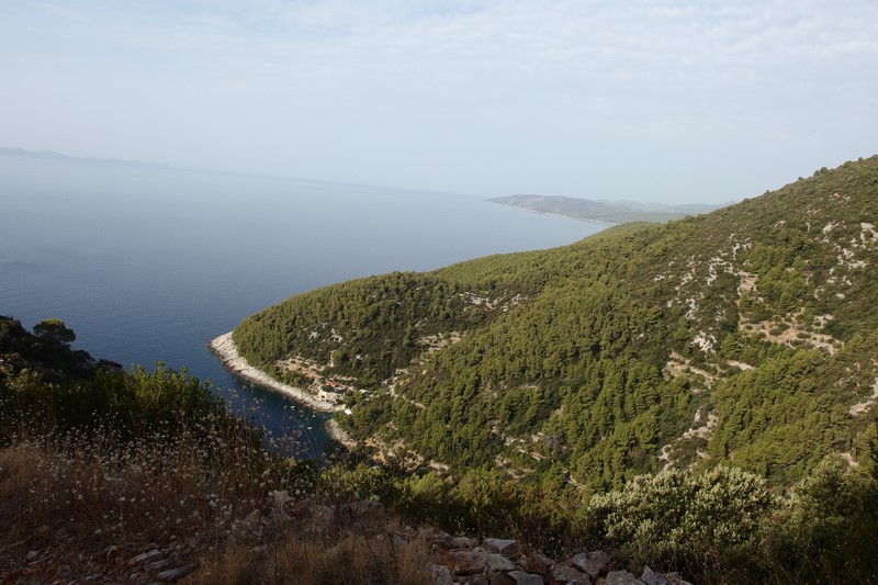 P9190664 (Kopiowanie).JPG