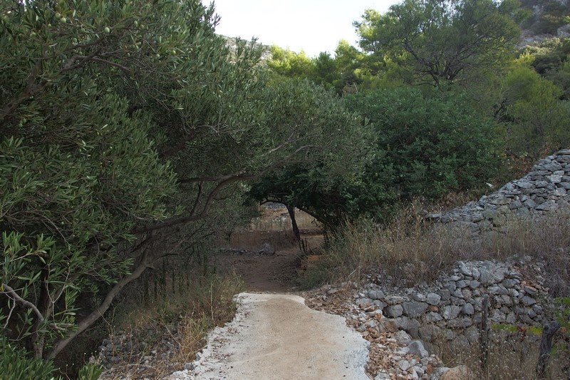 P9190669 (Kopiowanie).JPG