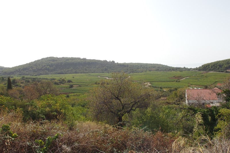 P9190683 (Kopiowanie).JPG