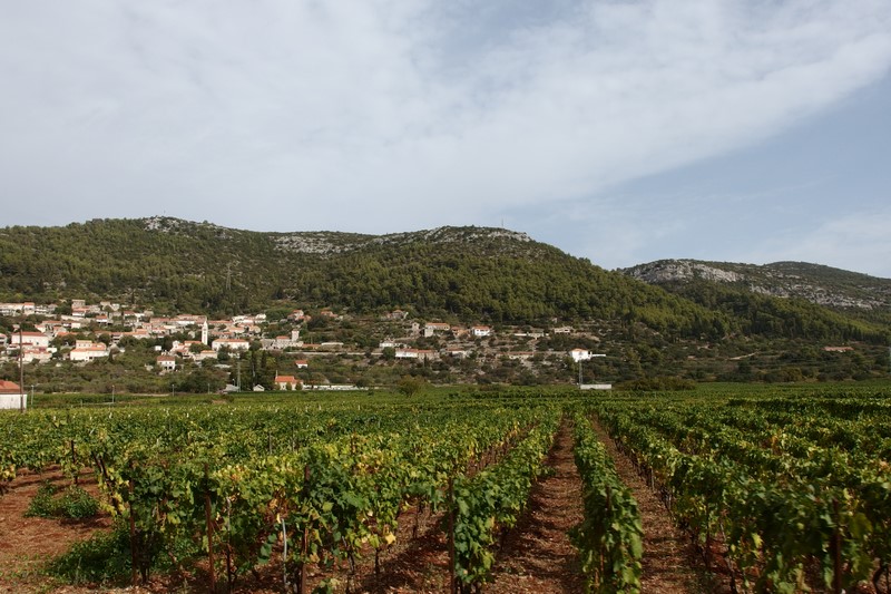 P9190688 (Kopiowanie).JPG