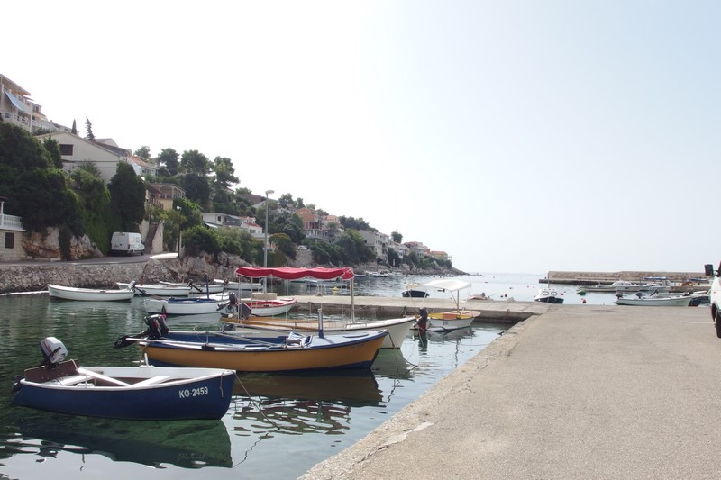 P9190684 (Kopiowanie).JPG