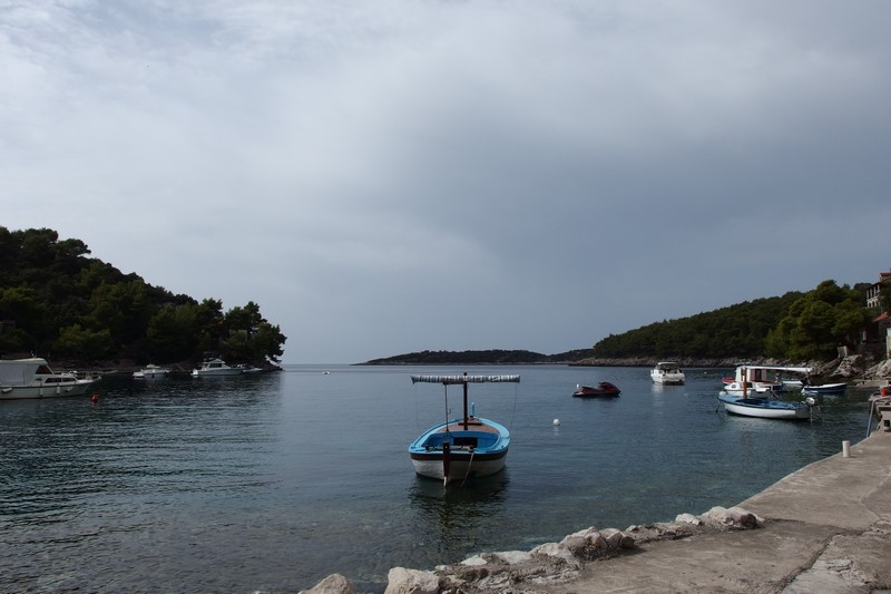 P9190693 (Kopiowanie).JPG