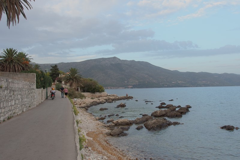 P9190709 (Kopiowanie).JPG