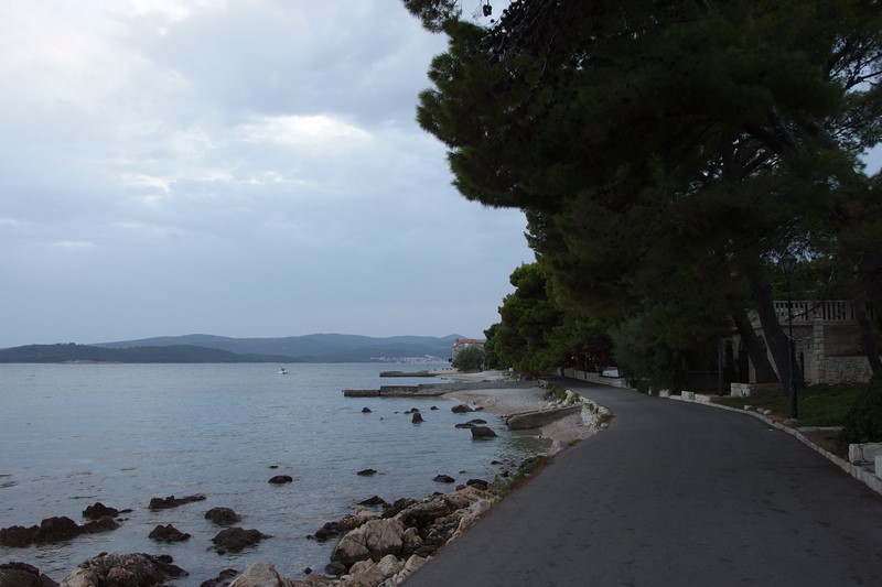 P9190741 (Kopiowanie).JPG