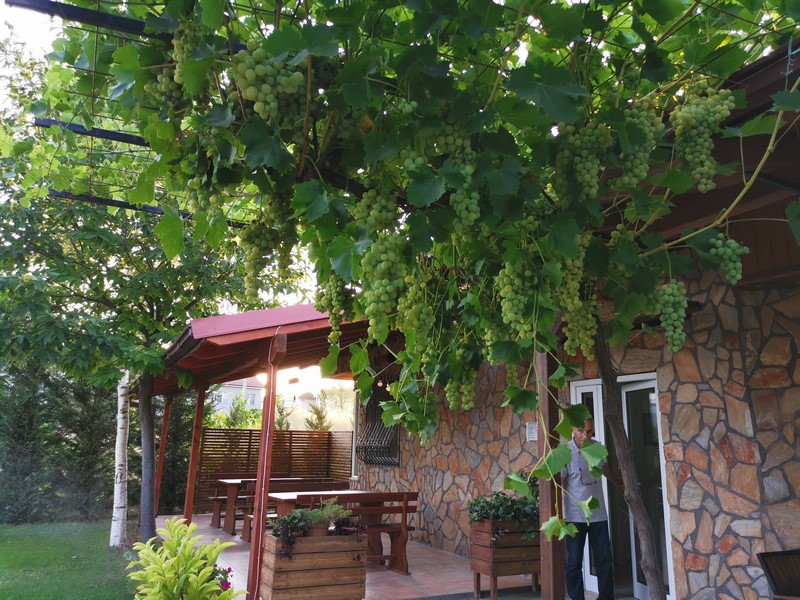 IMG_20210813_185800 (Kopiowanie).jpg