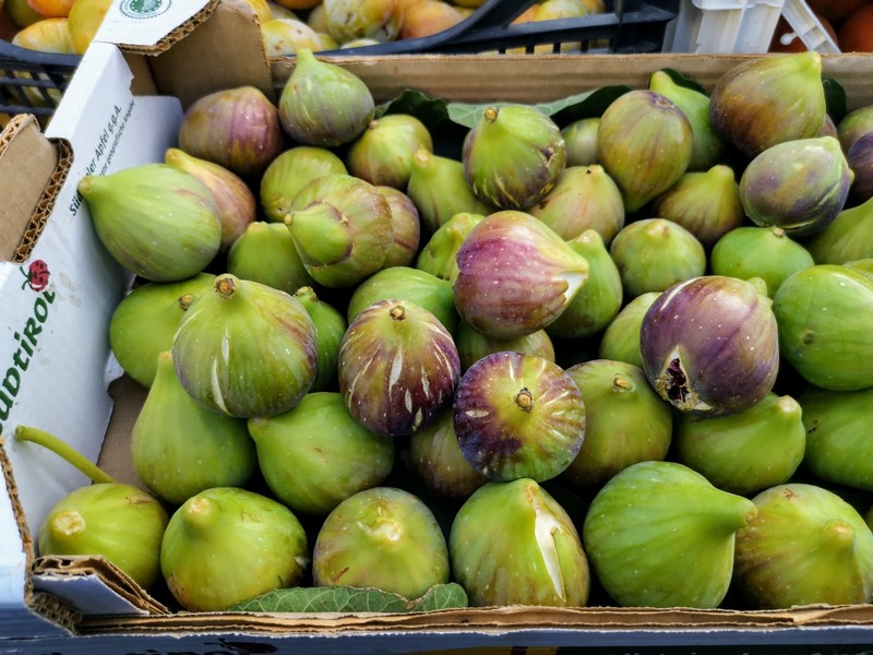 IMG_20210815_190209 (Kopiowanie).jpg