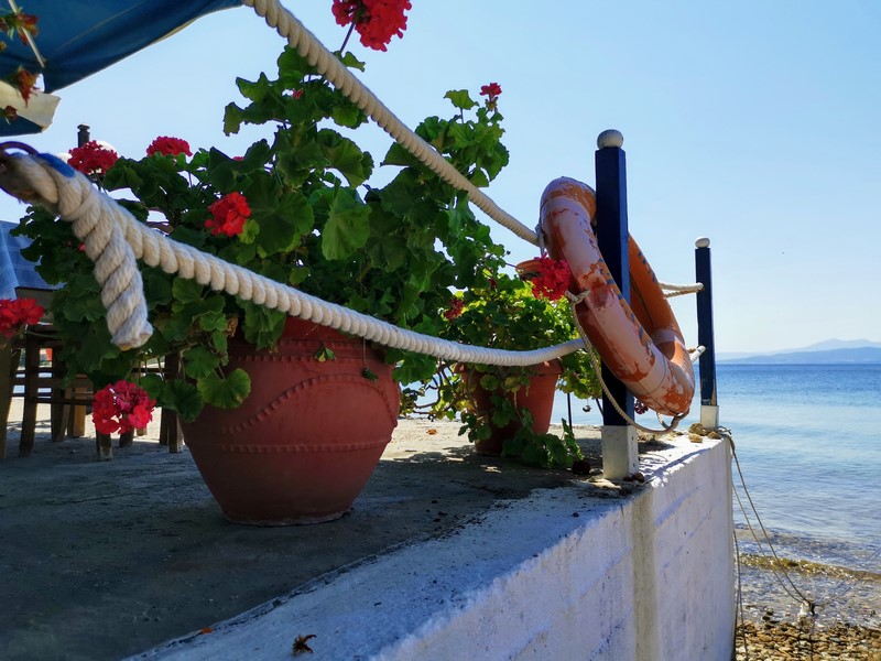 IMG_20210816_122254~2 (Kopiowanie).jpg